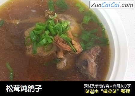 松茸炖鸽子