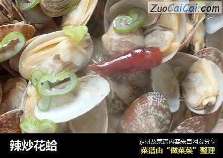 辣炒花蛤
