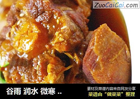谷雨 润水 微寒 胃暖——红焖牛舌尾