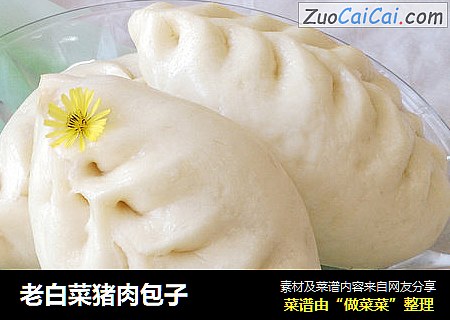 老白菜猪肉包子