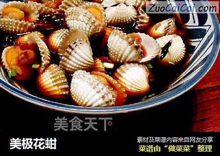 美极花蚶