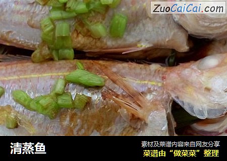 清蒸鱼
