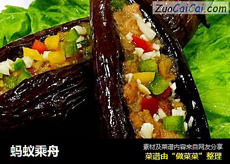 蚂蚁乘舟