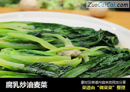 腐乳炒油麦菜