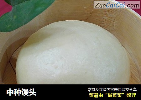 中种馒头