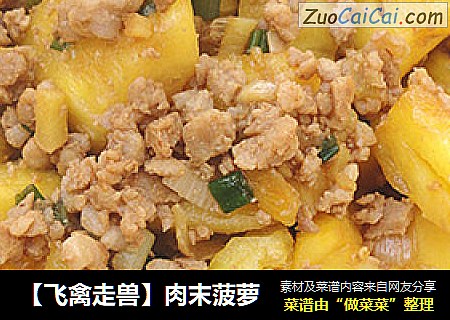 【飞禽走兽】肉末菠萝