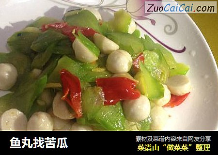 鱼丸找苦瓜