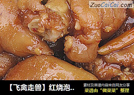 【飞禽走兽】红烧泡椒猪蹄