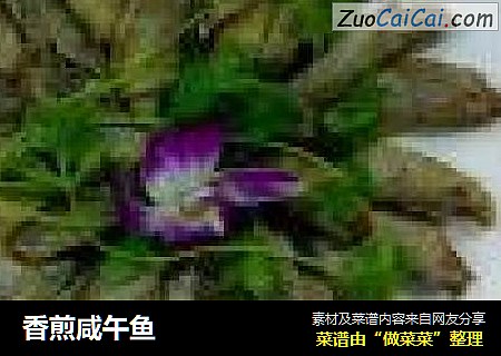 香煎咸午鱼