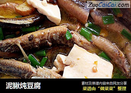 泥鳅炖豆腐