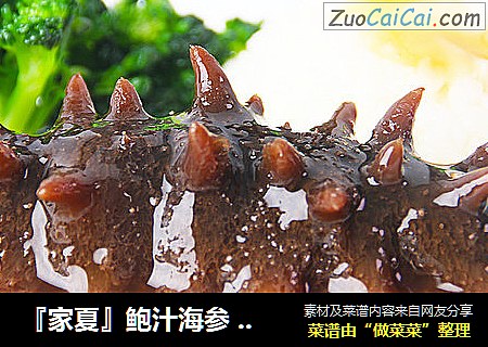 『家夏』鲍汁海参 营养滋补快手菜