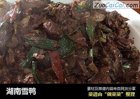 湖南雪鸭