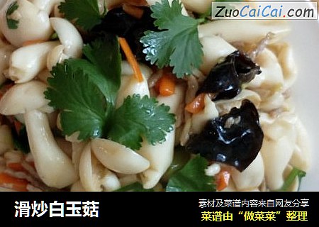 滑炒白玉菇