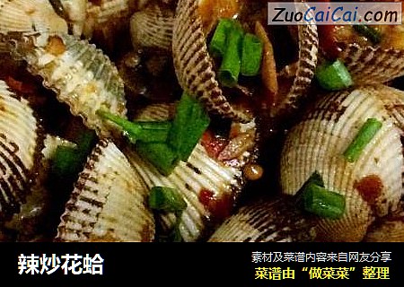 辣炒花蛤
