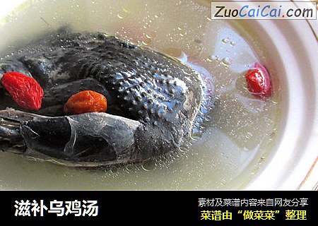 滋补乌鸡汤
