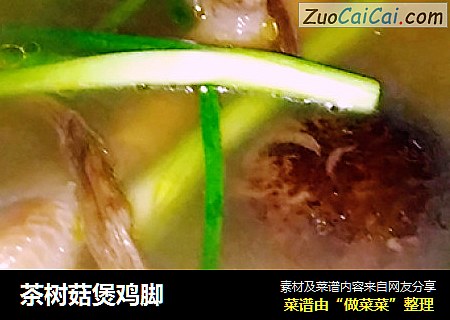 茶树菇煲鸡脚