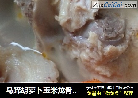 马蹄胡萝卜玉米龙骨老火汤