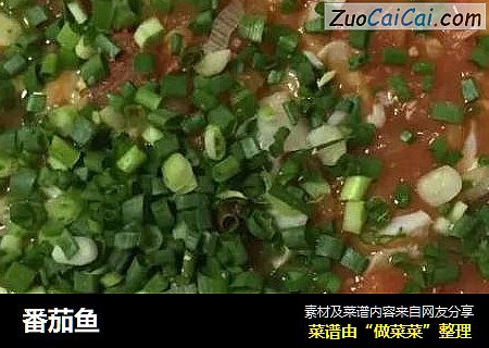 番茄鱼