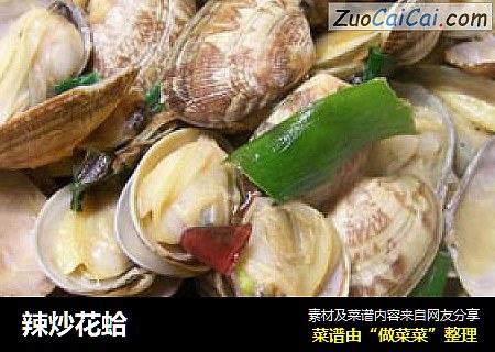 辣炒花蛤