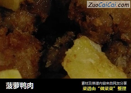菠萝鸭肉