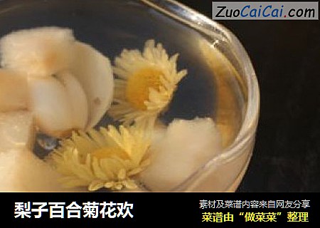 梨子百合菊花欢