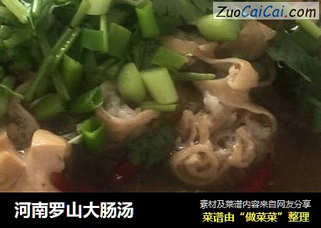 河南罗山大肠汤