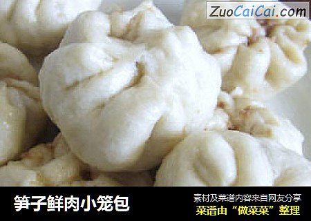 笋子鲜肉小笼包