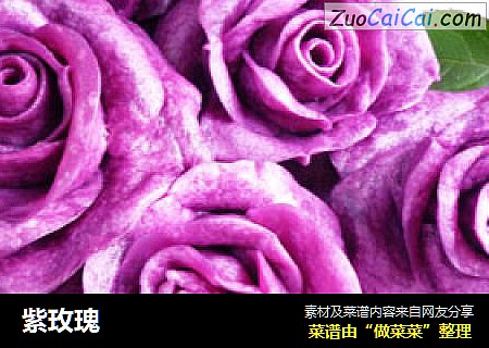紫玫瑰