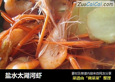 盐水太湖河虾