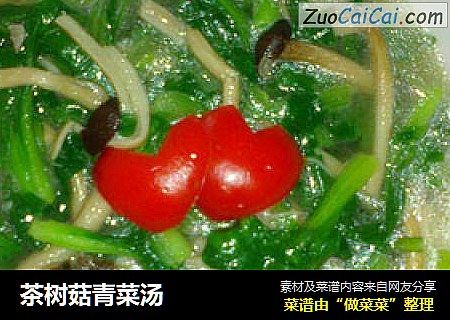茶树菇青菜汤