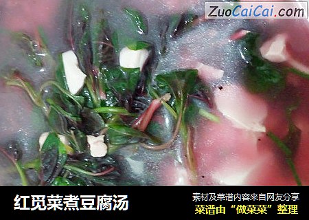 红觅菜煮豆腐汤