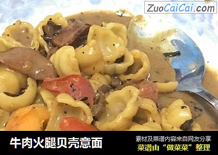 牛肉火腿贝壳意面