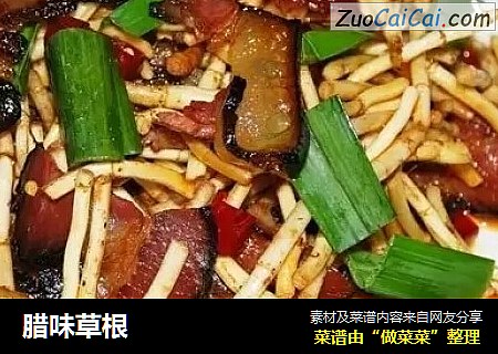 腊味草根