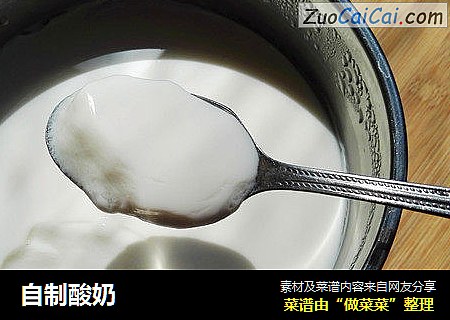 自制酸奶