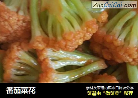 番茄菜花