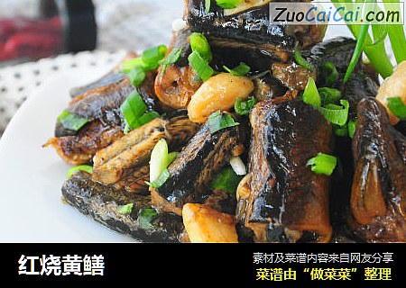 红烧黄鳝