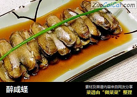 醉咸蛏