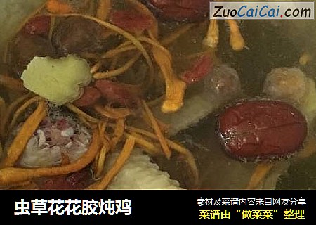 虫草花花胶炖鸡