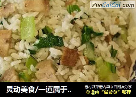 灵动美食/一道属于懒人的咸肉菜饭