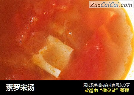 素罗宋汤