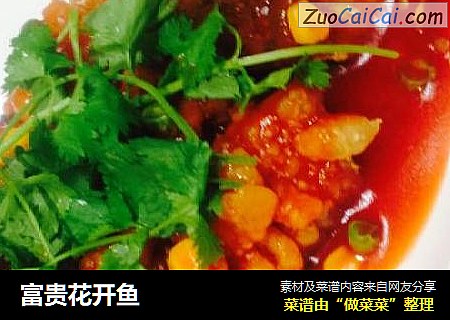 富贵花开鱼