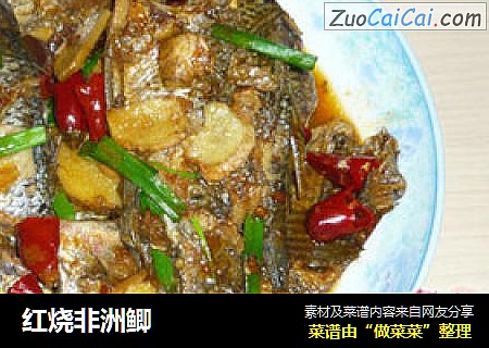 红烧非洲鲫