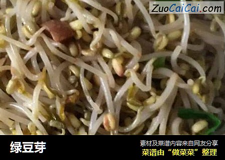 绿豆芽