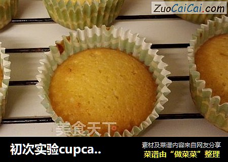 初次实验cupcake基础款（ah网上基础教程版）