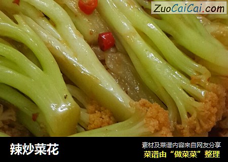 辣炒菜花