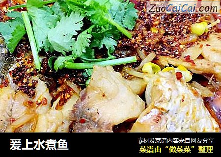 爱上水煮鱼
