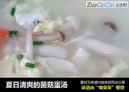 夏日清爽的菌菇蛋汤