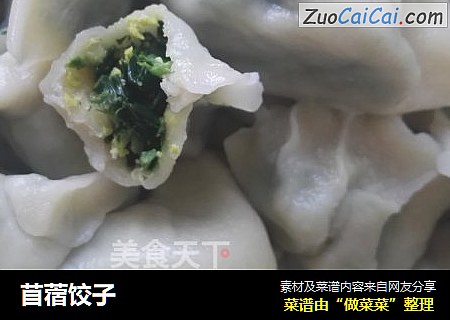 苜蓿饺子
