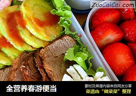 全营养春游便当