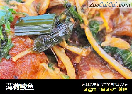 薄荷鲮鱼